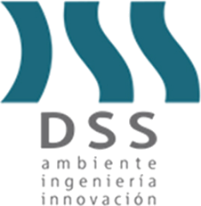 Firmas DSS